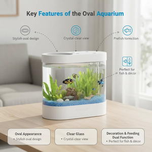 Acuario Multifuncional de Escritorio, Mini Pecera con Alimentación USB/Batería y Accesorios con Luz LED, Venta al Por Mayor - Product Image 3