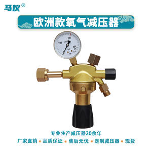 High-<b>Pressure</b> Carbon Dioxide <b>Regulator</b> Valve All-Copper Oxygen <b>Pressure</b> <b>Regulator</b> Fast Delivery Factory Direct Supply for Europe - Product Image 4