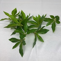Daun Helleborus Buatan Berkualitas Tinggi dengan Sentuhan Alami untuk Dekorasi Acara