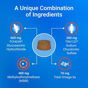 Complément pour chiens pour les hanches et les articulations, marque privée OEM/ODM - Friandises à mâcher souples sans céréales à absorption rapide pour les hanches et les articulations - Product Image 4