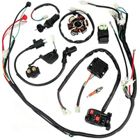 Kit de câblage complet pour système électrique de VTT et moto tout-terrain 250cc 150cc, bobine d'allumage pour quad