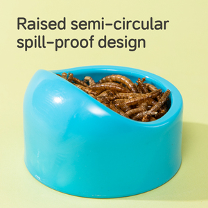 Bol alimentaire en plastique épais et arrondi, double usage, pour hamsters, pour stocker les fruits secs et les insectes - Product Image 4