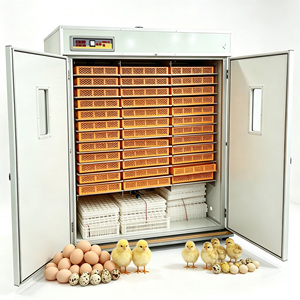 Incubadora de Aves de Corral de Gran Capacidad HJ-IH6336, con Capacidad para 6000 Huevos de Gallina - Product Image 1