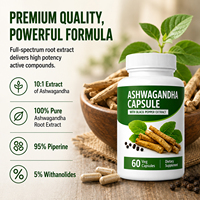 VitaHall OEM Private Label Relieve Stress Natural Ashwagandha Extract Supplement Ksm-66 Ashwagandha Capsules