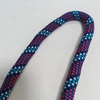 Corde d'escalade en nylon tressé Corde de laisse de chien en polyester Corde statique en nylon haute résistance extérieure 8mm 10mm 14mm