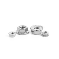 Écrou de blocage hexagonal à bride en acier inoxydable 304 316 DIN6923 M3 M4 M5 M6 M8 M10 M12