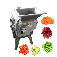 Machine à découper, trancher et hacher les légumes et fruits, électrique, commerciale, en acier inoxydable, multifonctionnelle, moteur à engrenages, 220/380V, haute performance