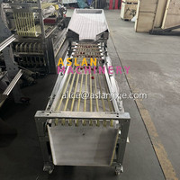 Automatische kersen sorteermachine / Kersen sorteermachine op trackbasis