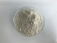 Fabriek 60% Hydroxycitroenzuur Poeder Garcinia Cambogia Extract