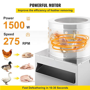 Máquina <span class=keywords><strong>Desplumadora</strong></span> <span class=keywords><strong>de</strong></span> Aves / Precio <span class=keywords><strong>de</strong></span> Máquina para Pelar <span class=keywords><strong>Pollos</strong></span> / Peladora <span class=keywords><strong>de</strong></span> <span class=keywords><strong>Pollos</strong></span> - Product Image 5