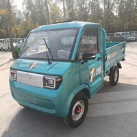 Camionnette électrique à batterie lithium, mini véhicule utilitaire léger, véhicule à énergie nouvelle 2 portes 2 places pour adultes