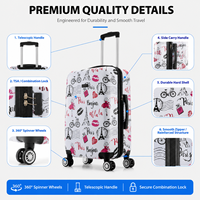 Ensemble de bagages à roulettes ABS OEM ODM, motif rose, 3 pièces, valises rigides, 20, 24, 28 pouces, fournisseur en gros pour les chaînes de magasins de détail