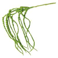 Nouvelles fleurs artificielles en soie, suspendues, en forme de riz, vertes douces, en cascade, larmes d'amoureux, herbe barbe de dragon, vente en gros, pour la décoration