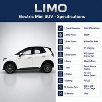 SUV Électrique Compact Personnalisable avec Entrée NFC, Audio Bluetooth, Prix de Gros Direct Usine