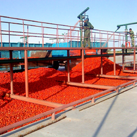 Prijs van machines voor de productie, verwerking, vullen en verpakken van industriële tomatenpuree, saus, ketchup, jam en sap in zakjes.
