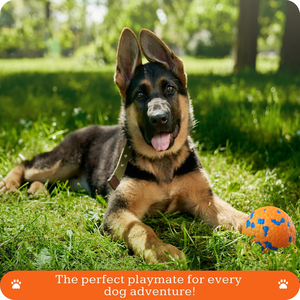 Dog Tooth Cleaning Eco-Friendly Plastic TPR <b>Bite</b>-Resistant Interactive Training Chew Ball Durable Pet Toy - Product Image 6