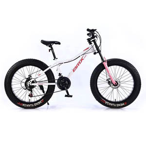 Vélo de montagne pour adultes, hommes, 24, 26, 29 pouces, frein à disque double, 21 vitesses, vélo de montagne - Product Image 1