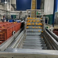 Ligne complète de traitement de la pulpe de jus de mangue : Extracteur de jus, lavage automatique, épluchage, batteur, stérilisateur UHT, remplissage aseptique