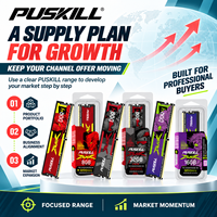 PUSKILL Mémoire RAM DDR4 Haute Vitesse 16 Go 3200 MHz 288 Broches UDIMM pour PC de Bureau et Mise à Niveau de Système Professionnel