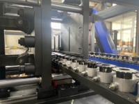 Machine de soufflage par soufflage PET entièrement automatique à haut rendement de 10 litres à 2 cavités Machine de soufflage de bouteilles d'eau en plastique