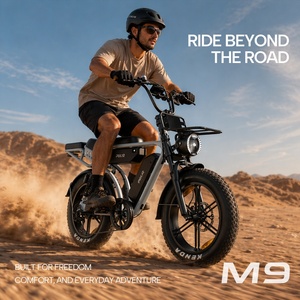 Vélo de montagne électrique en stock UE, 48V35Ah, deux batteries au lithium, VTT électrique tout-terrain avec moteur arrière de 250W, pour adultes - Product Image 1