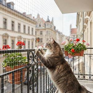 <span class=keywords><strong>Filet</strong></span> de sécurité pour <span class=keywords><strong>chat</strong></span> en nylon transparent invisible pour la protection du balcon Maille 3x3cm Résistant aux UV Protection anti-oiseaux Fenêtre - Product Image 5