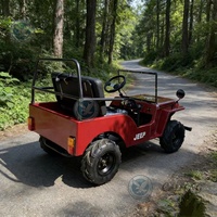 Mini Jeep 125cc 110cc 150cc à essence, Buggy des dunes, Voiture électrique pour enfants, Moto 2 places, Mini jeep tout-terrain - Fournisseur Chine