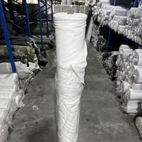 Entoilage thermocollant tissé 65GSM 100D 100% Polyester avec revêtement PA pour col de veste et manteau