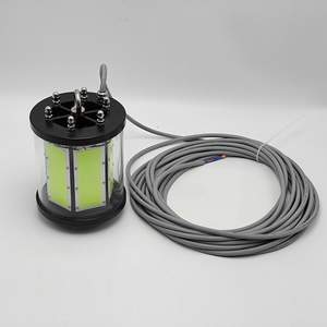 Luz LED Sumergible para Atraer <span class=keywords><strong>Peces</strong></span> con Longitud <span class=keywords><strong>de</strong></span> Onda Científica, Luz Verde, Alcance <span class=keywords><strong>de</strong></span> 50 m, Pesca Profesional, Investigación, Uso Comercial - Product Image 5