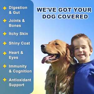 Qualità Premium aiuta i cani funzione digestiva integratori per animali domestici e vitamine per multifunzione - Product Image 3