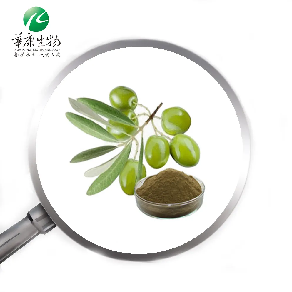 Olive Leaves Extract /10:1,20:1 10%-40% 98% Oleuropein 10%-40%