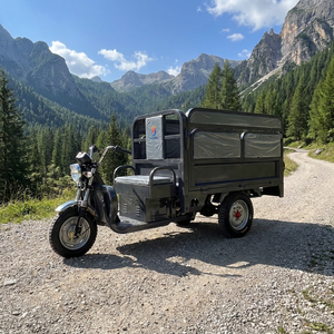 Tricycle électrique cargo personnalisé à <span class=keywords><strong>3</strong></span> <span class=keywords><strong>roues</strong></span> avec siège passager pliable, chargeur robuste, E-Trike pour les marchés d'Amérique et d'Asie - Product Image 4