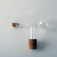 Conception d'aération en verre transparent moderne de bec verseur de vin soufflé par main de haut Borosilicate