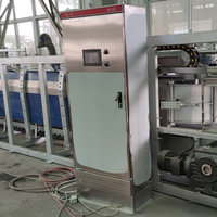 Machine d'étourdissement de porcs à trois points ZBHT, automatique, haute efficacité, facile à utiliser, en acier inoxydable pour ligne d'abattage