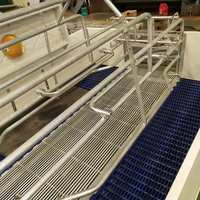Caisse de mise bas de style européen pour porcheries Stalle chaude en métal pour la gestation des truies Équipement de porcherie à vendre