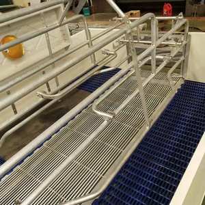 Phong cách Châu Âu farrowing <span class=keywords><strong>Crate</strong></span> cho lợn trang trại kim loại ấm gian hàng cho lợn nái mang thai piggery thiết bị để bán - Product Image 4
