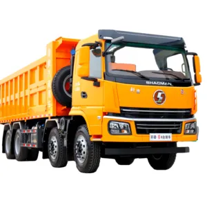 Запчасти для самосвалов для самосвала Shacman 336 2024 год Delong Mini Dump Truck ЗАПЧАСТИ масляные фильтры