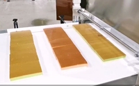 Machine à découper les gâteaux automatique à ultrasons en acier inoxydable Wanli 220V, écologique et légère pour l'industrie alimentaire