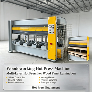 <span class=keywords><strong>Prensa</strong></span> Caliente Multicapa <span class=keywords><strong>para</strong></span> Carpintería, <span class=keywords><strong>Prensa</strong></span> de Panel con Calentamiento Automático <span class=keywords><strong>para</strong></span> Pegado de Revestimientos de Puertas y Muebles de Madera - Product Image 2