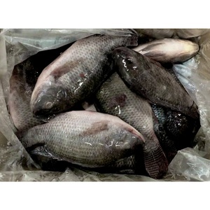 Tilapia entière congelée Taiseng, procédé IQF, origine Fujian, spécification 500-800g - Product Image 5