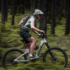 Amflow TL Carbonrahmen 27,5 29 Zoll Laufräder HTA-25 Laufradsatz Maxxis Crossmark II Drahtreifen Amflow E-Bike <span class=keywords><strong>MTB</strong></span> - Product Image 1