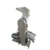 Presse-agrumes spirale automatique industrielle grande capacité à essence avec séparation de la pulpe pour gingembre, ananas, pommes, usage commercial