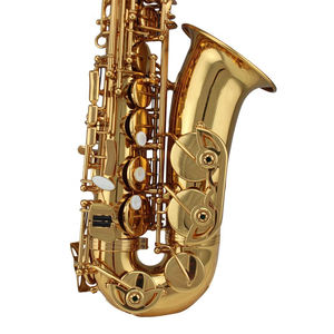 Instruments de musique Huasheng, <span class=keywords><strong>saxophone</strong></span> <span class=keywords><strong>baryton</strong></span>, <span class=keywords><strong>saxophone</strong></span> alto <span class=keywords><strong>pas</strong></span> <span class=keywords><strong>cher</strong></span>, <span class=keywords><strong>saxophone</strong></span> alto professionnel - Product Image 3
