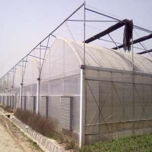 أرخص دفيئة بلاستيكية زراعية/تجارية/صناعية مع أنظمة كاملة للبيع - Product Image 2