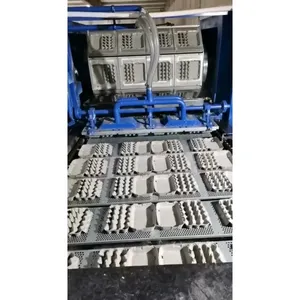 Máquina para Fabricar Bandejas de Huevos AS 4000, Línea de Moldeo de Pulpa de Papel de 8 Caras y Cuatro Vías para Bandejas de Huevos y Frutas - Product Image 3