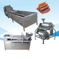 Automatische Fruitrol Op Schraapvormende Verwerkingsmachine Productielijn Voor Fruitleer