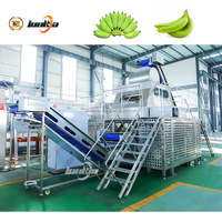 Industriële Weegbree Stoomschiller Banaan Fruit Groente Stoomschilmachine Stoomschilmachine