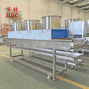 Machine à laver automatique personnalisée OEM Grenade Ananas Steen Cactus mangue Cerise Fruit Fraise Pêche Nettoyage - Product Image 3