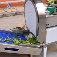 Fruitliftmachine Voor Groothandel Verse Appelbanaan Oranje Druivenbehandeling Duurzame Roestvrijstalen Constructie