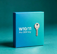 Clave OEM de Windows 10 Pro, Activación 0%, Licencia Profesional, Suministro Directo por USB